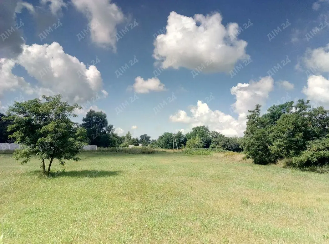 Відпочинь від міста у лісі!