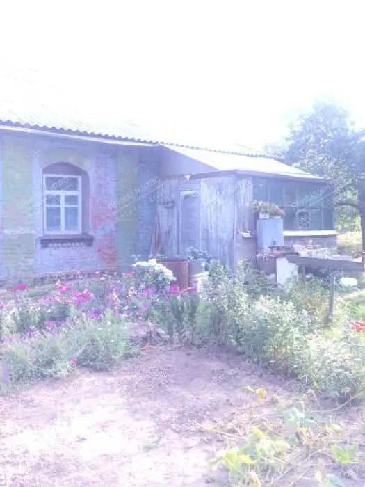 Бюджетний будинок в 4 км від міста.