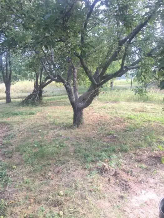 Бюджетний будинок в 4 км від міста.