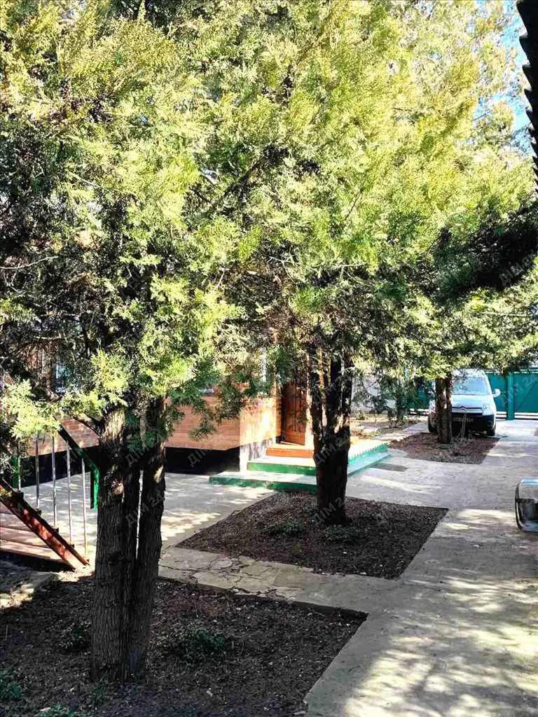 Будинок у Супрунівці