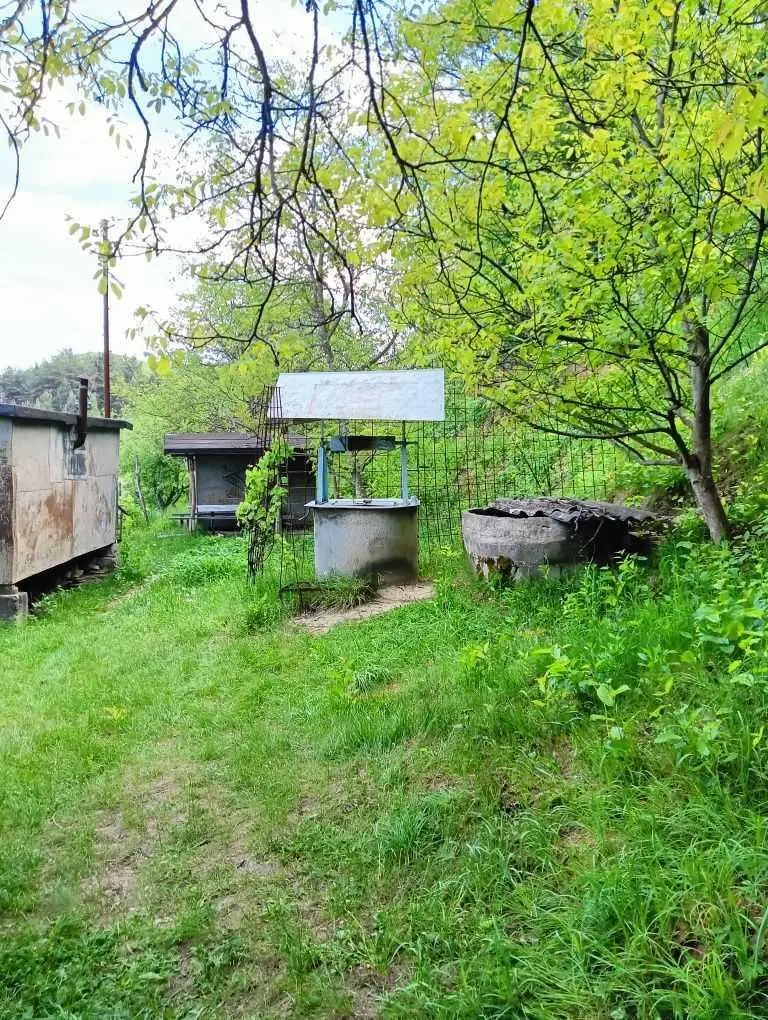 Дачна ділянка, Слиньків Яр