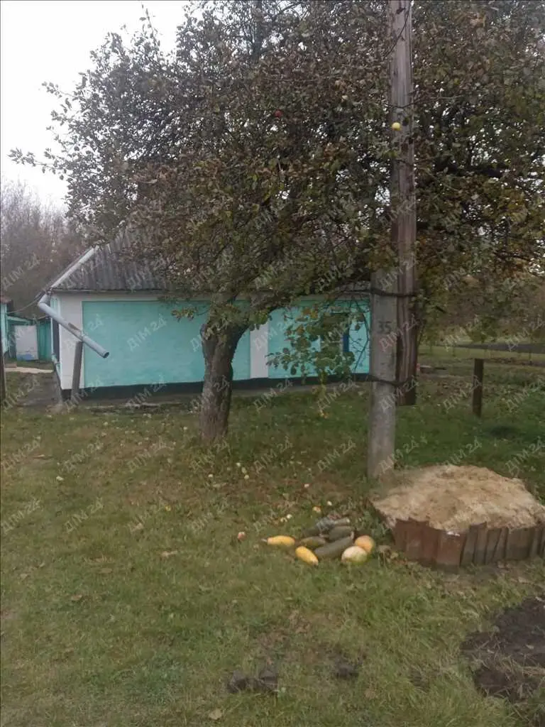 Окремий будинок в передмісті.