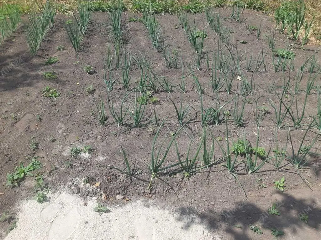 Ділянка в Івашках під СТО