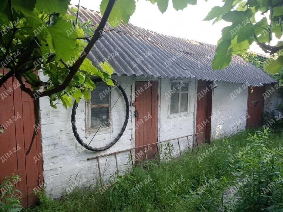 Будинок у Головачі біля соснового лісу