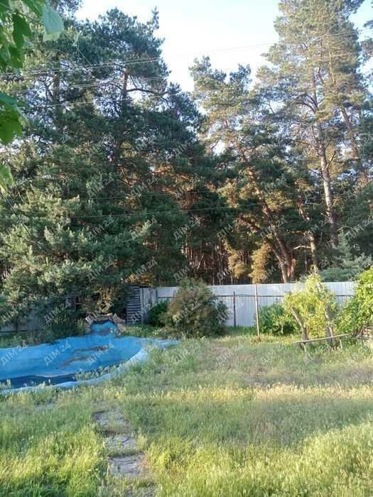 Будинок у Головачі біля соснового лісу