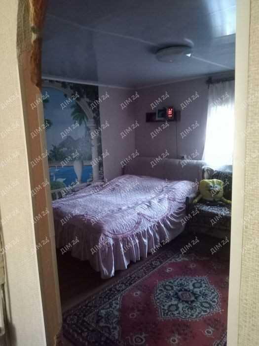 Будинок у Головачі біля соснового лісу