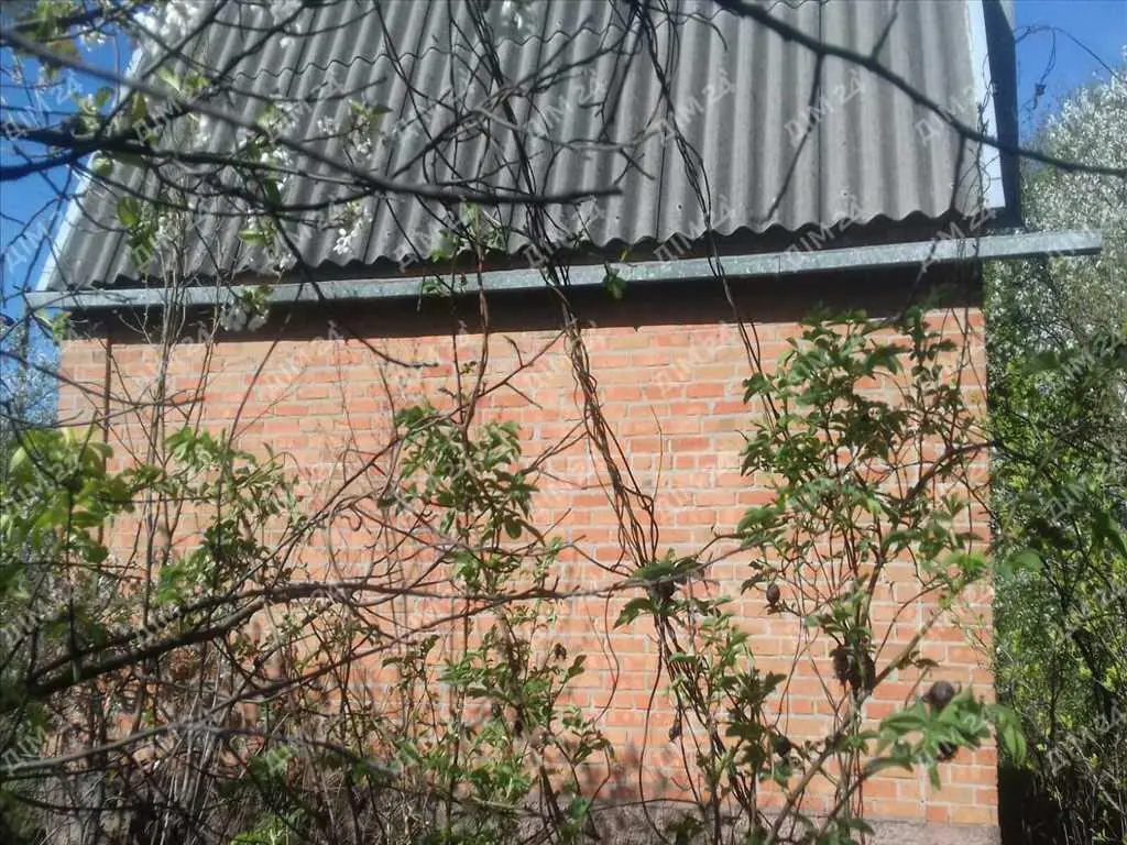 Дача в мальовничому місці.