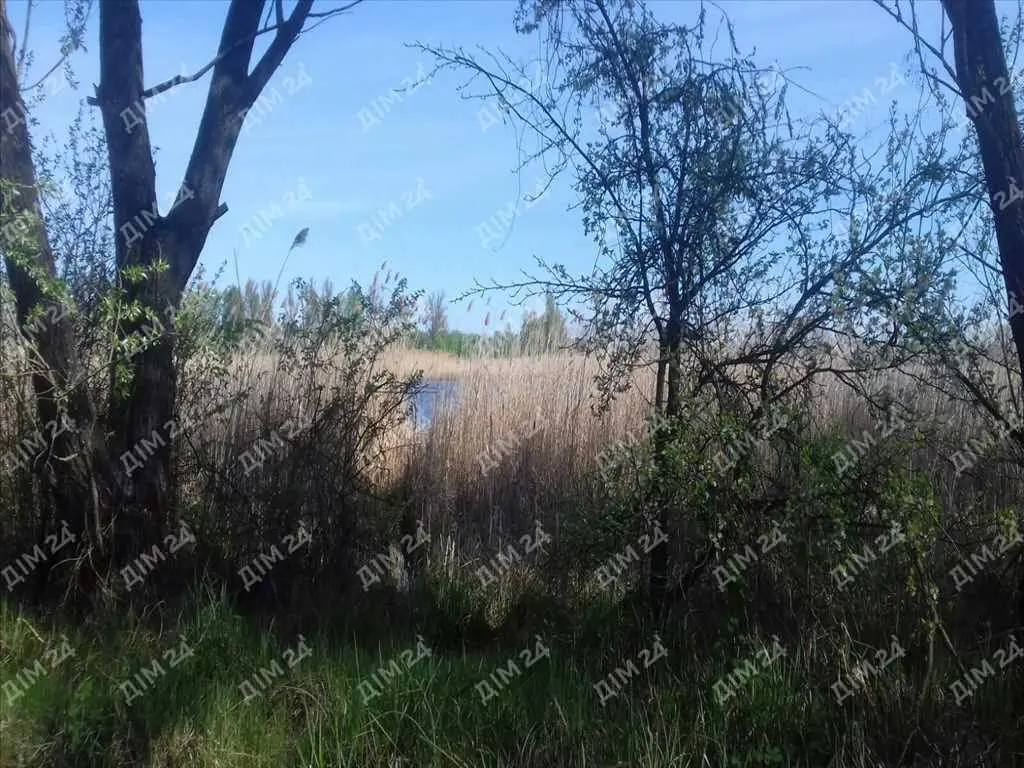 Дача в мальовничому місці.