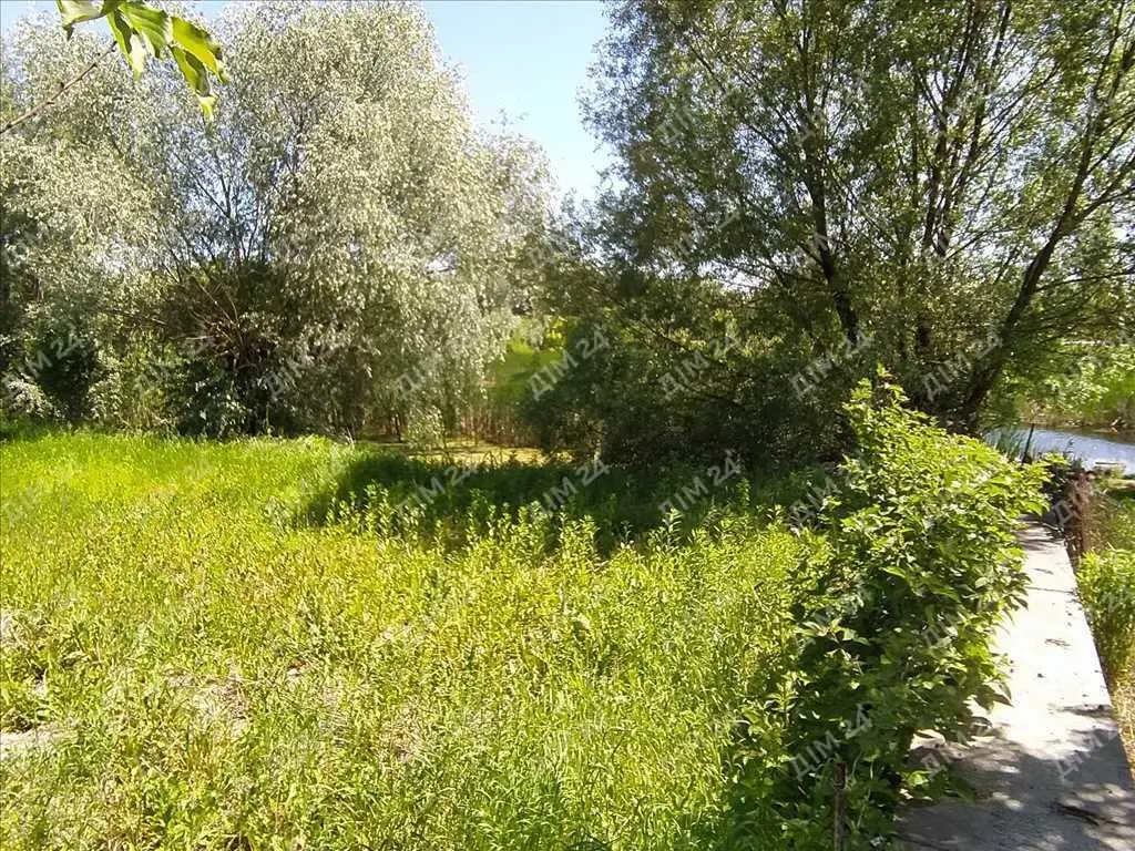 Окремий будинок з  власним ставком.