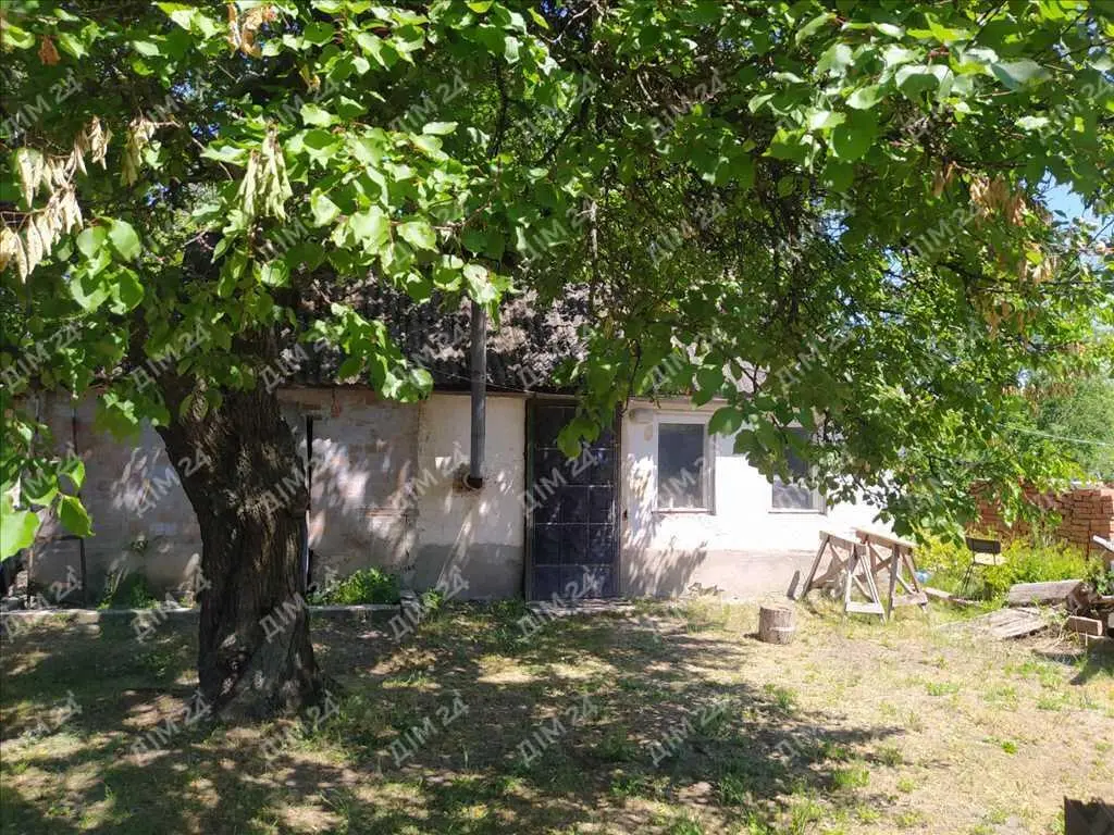 Окремий будинок з  власним ставком.