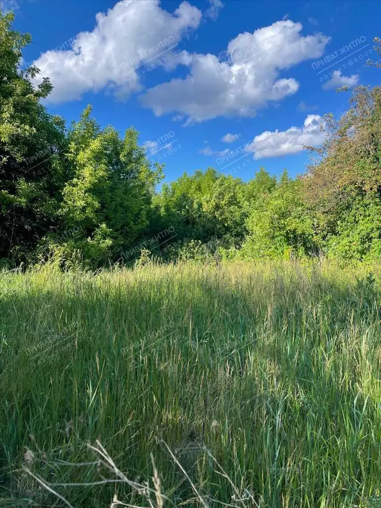 9 км від центру Полтави. Патлаївка. Земля майже даром. 