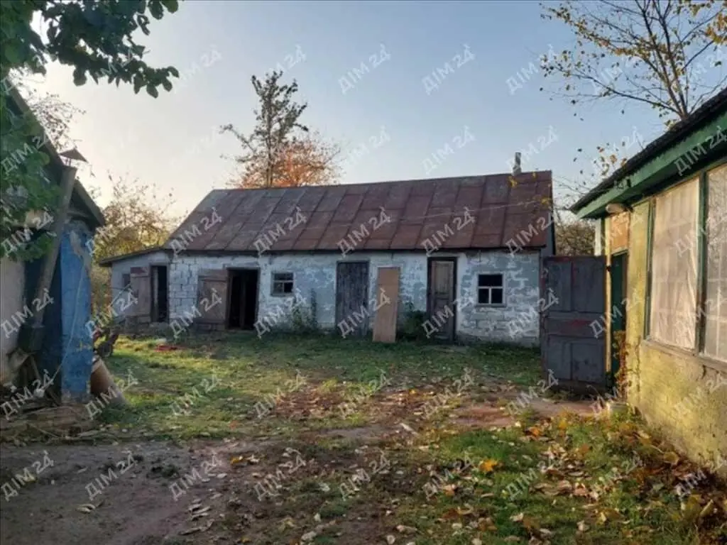 Продаж будинку в Малому Тростянці з великою земельною ділянкою