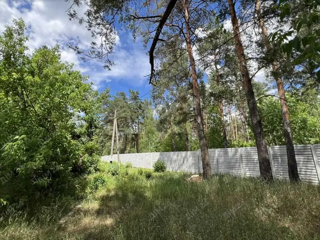 Велика ділянка в сосновому лісі!