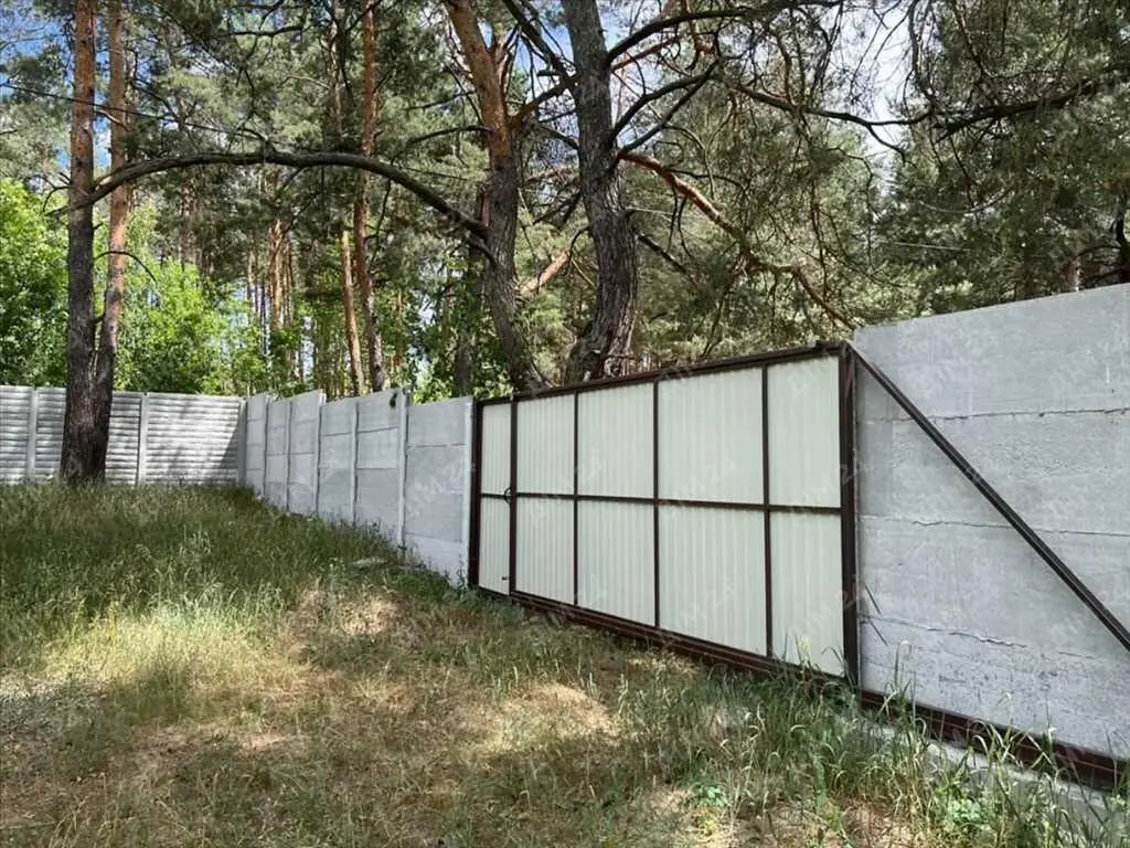 Велика ділянка в сосновому лісі!