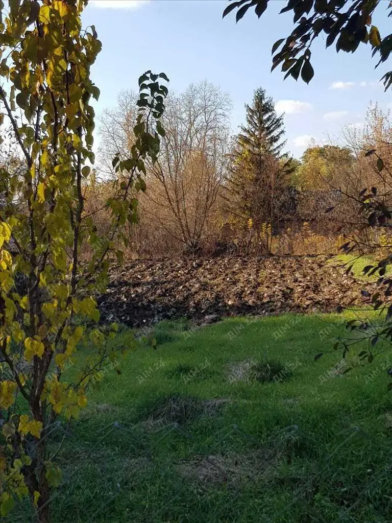 Окремий будинок в Шишаках