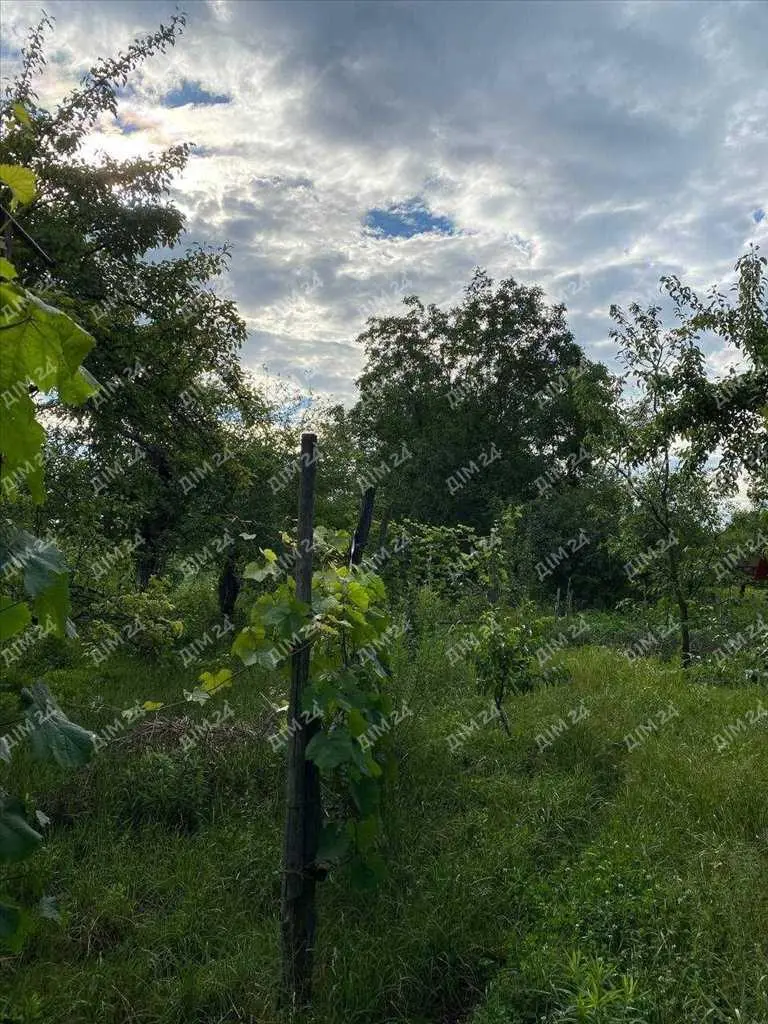 Дачна ділянка з будинком гаражного типу.

