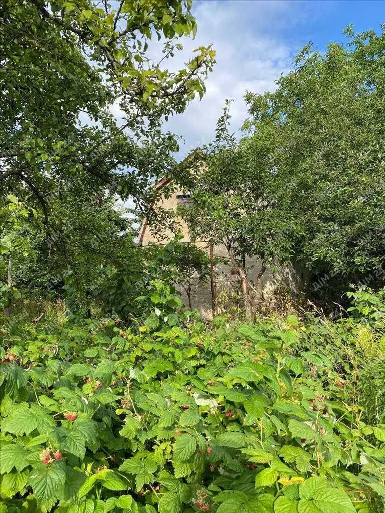 Дачна ділянка з будинком гаражного типу.

