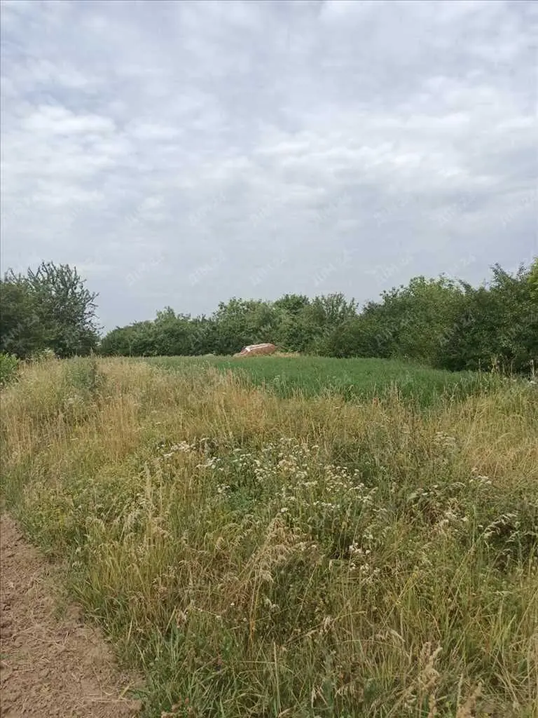 Ділянка неподалік лісу та річки.