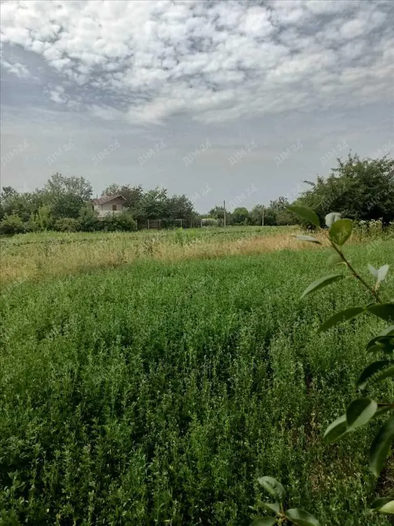 Ділянка неподалік лісу та річки.