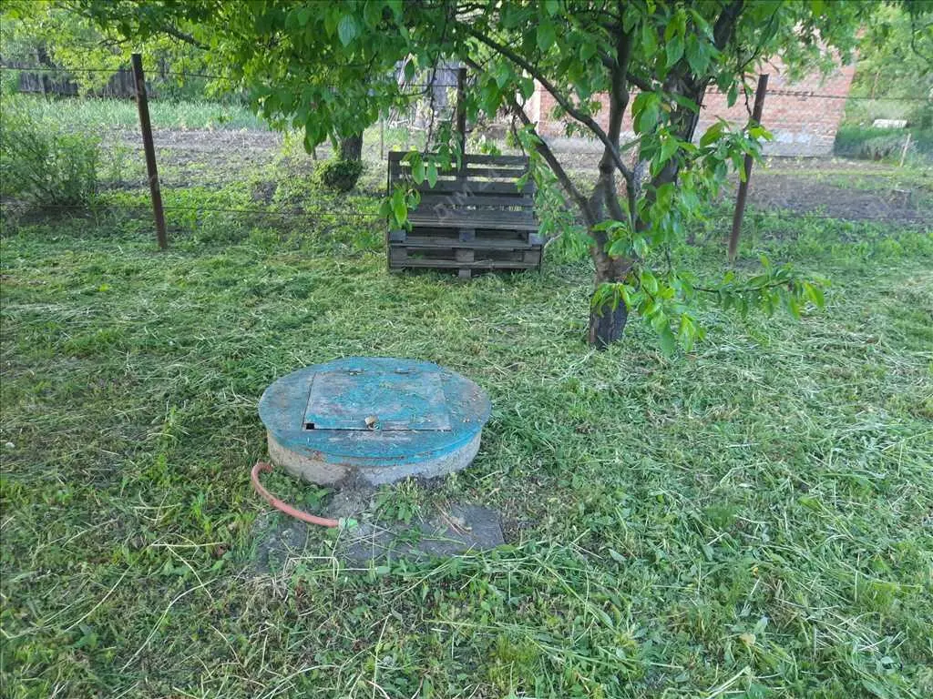 Ділянка в дачному кооперативі!