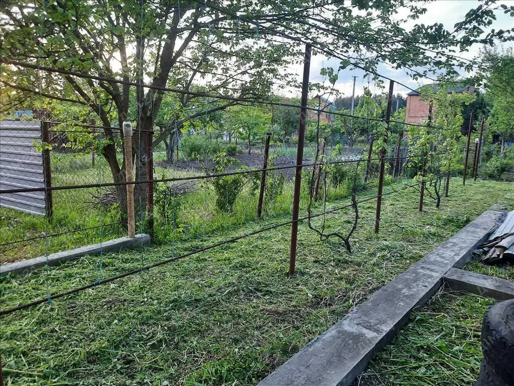 Ділянка в дачному кооперативі!