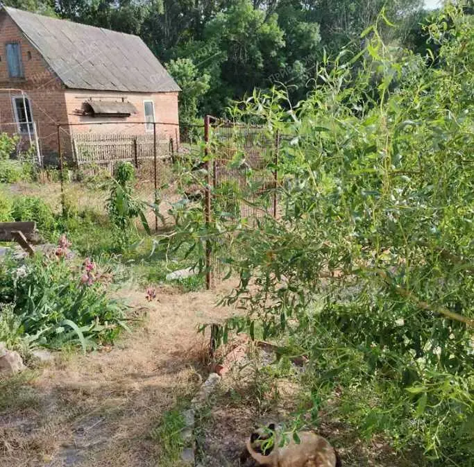  Пропонуємо Вам  земельну ділянку площею 8 соток на вул. Новаторській (Лісок)