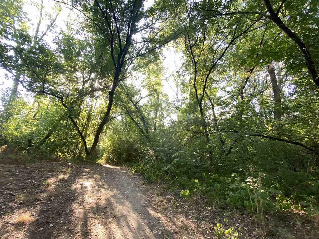 Дача біля річки на Вороніна!