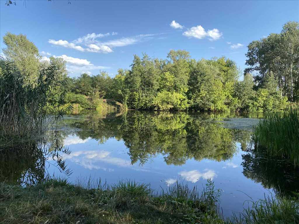 Дача біля річки на Вороніна!