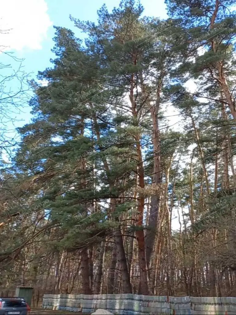  Пропонуємо вашій увазі двоповерховий цегляний дачний будинок на Лісових полянах