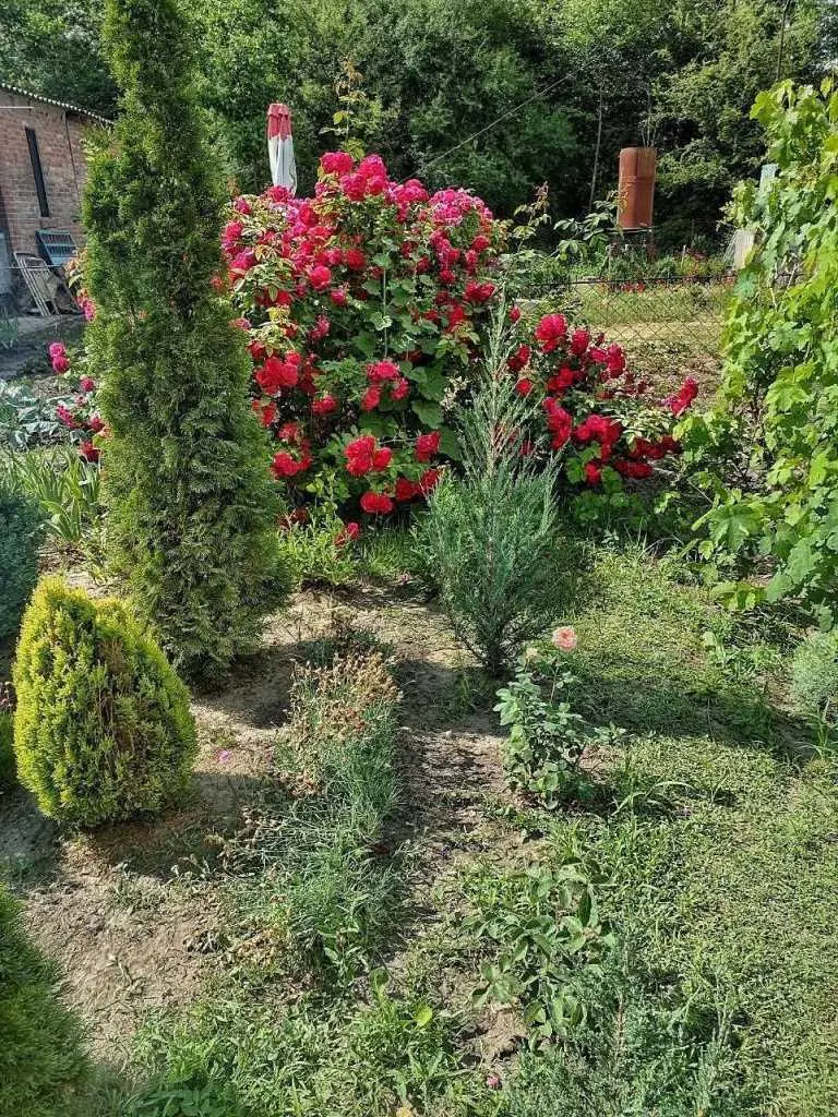  Пропонуємо вашій увазі двоповерховий цегляний дачний будинок на Лісових полянах