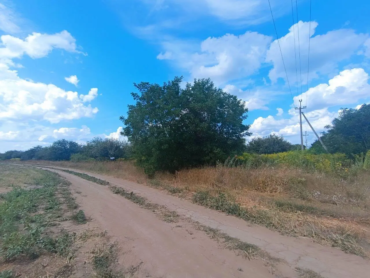 2,75 га в Щербанях