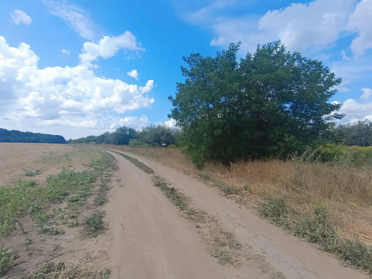 2,75 га в Щербанях