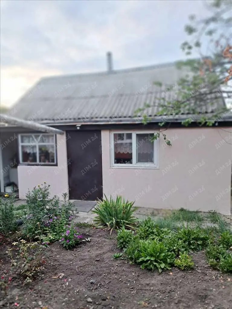 Просторий будинок в с.Бричківка.  