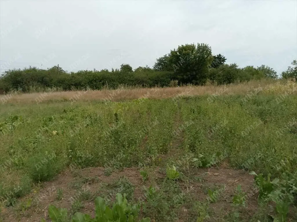 Ділянка у с.Мачухи 