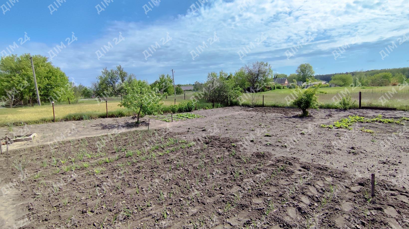 Терміновий продаж, дача поруч з лісом у Верхолах! 