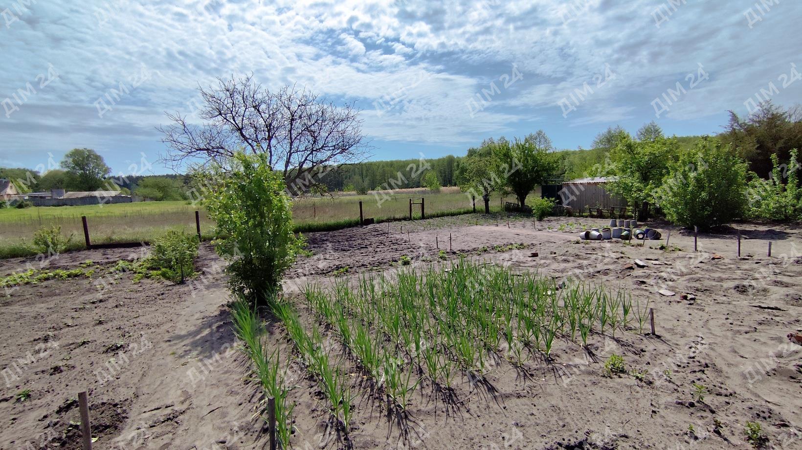 Терміновий продаж, дача поруч з лісом у Верхолах! 