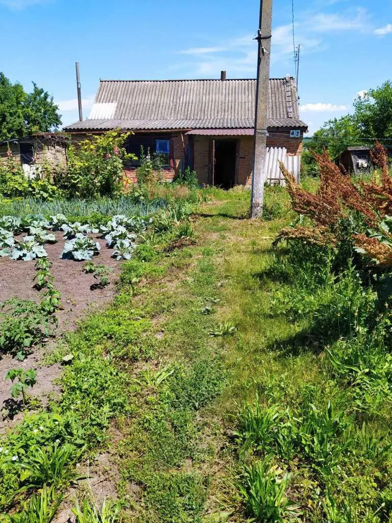 Продаж будинку в Машівці