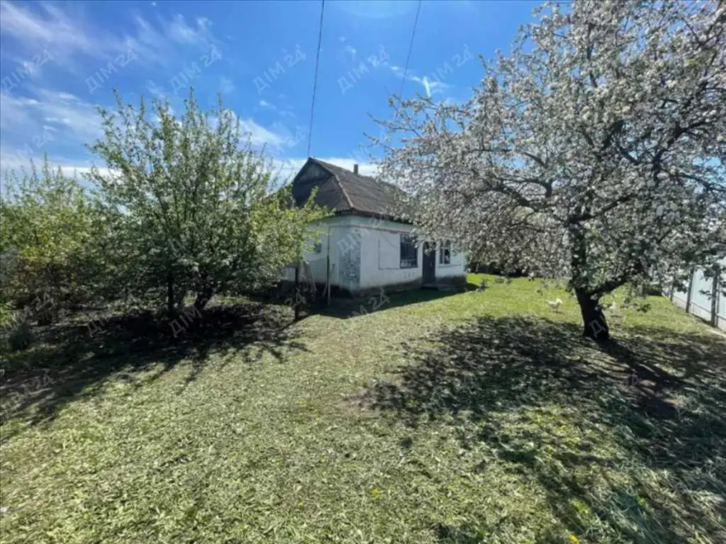 Окремий будинок в Селещині