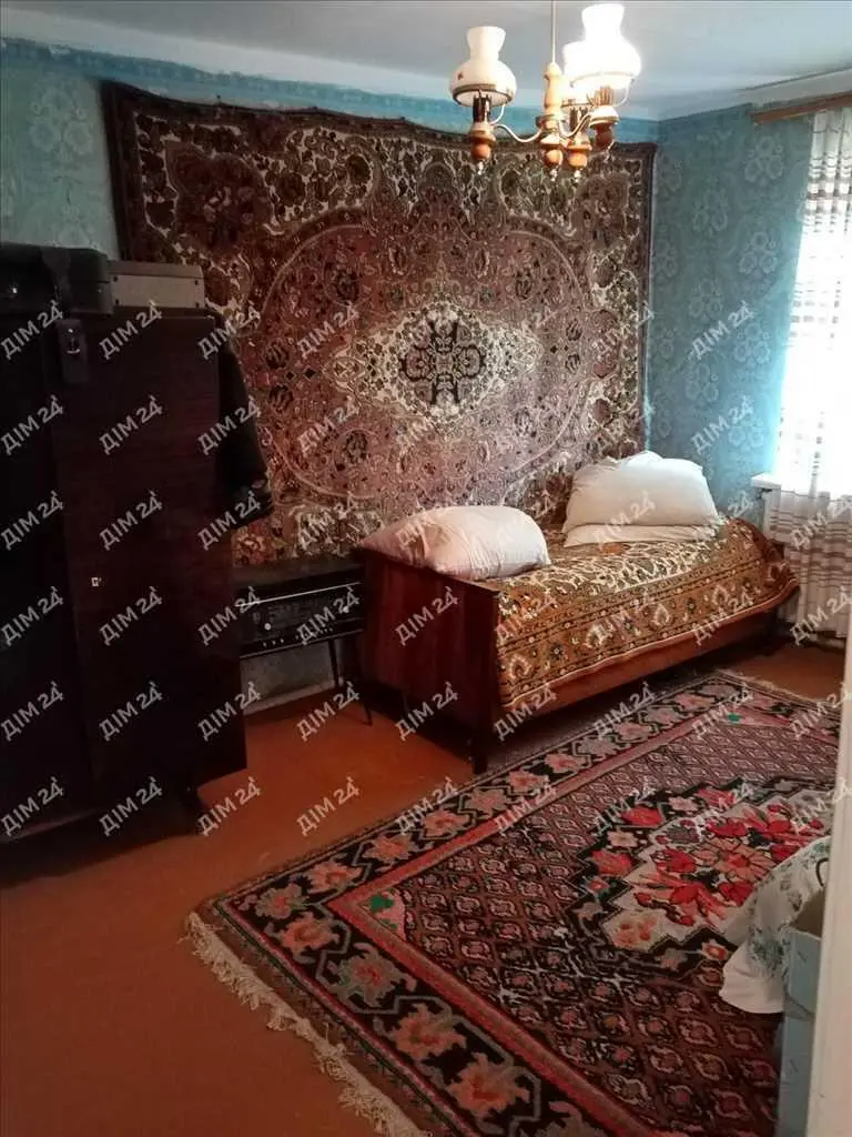 Великий будинок в Селещині