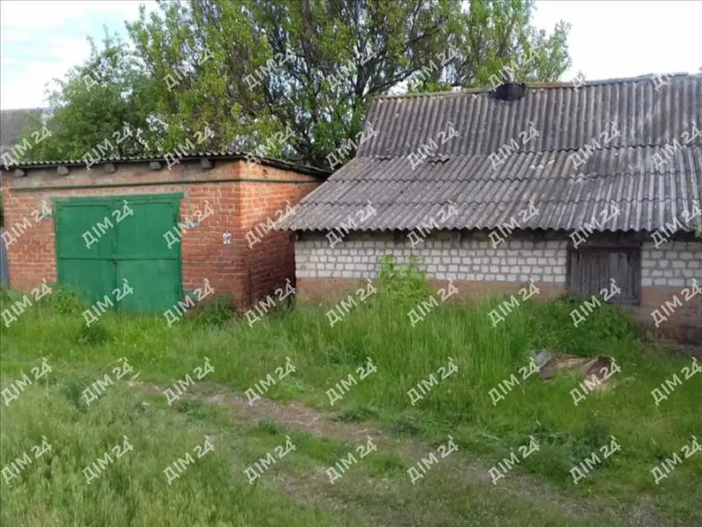 Великий будинок в Селещині