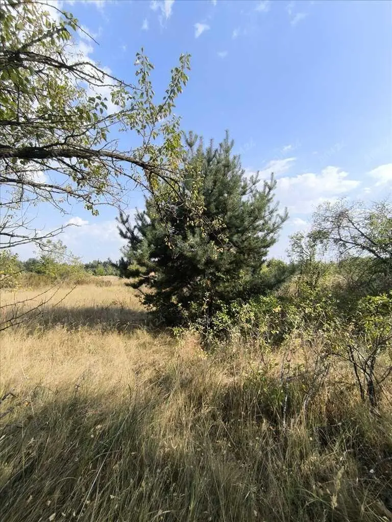 Садова ділянка за містом.