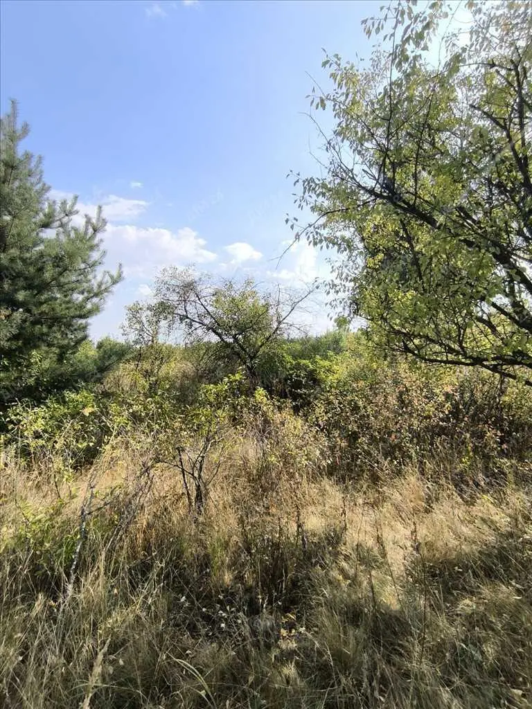 Садова ділянка за містом.