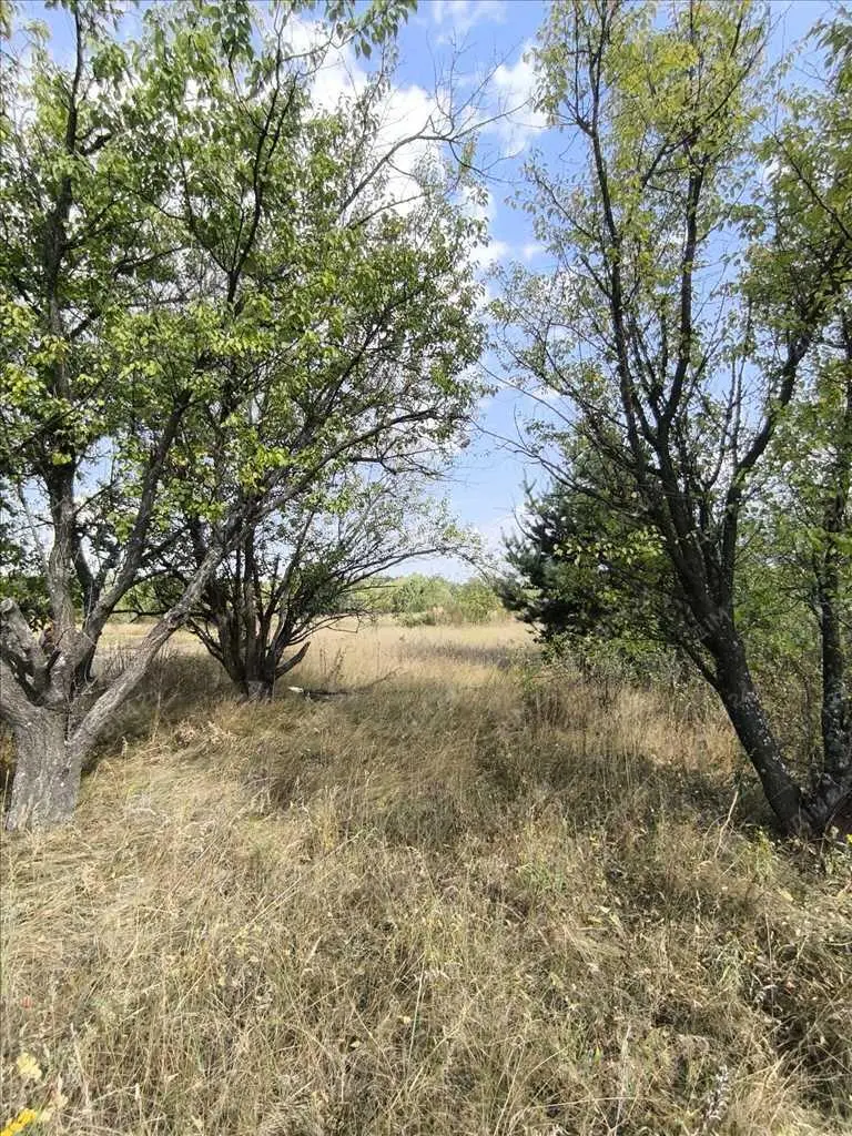 Садова ділянка за містом.