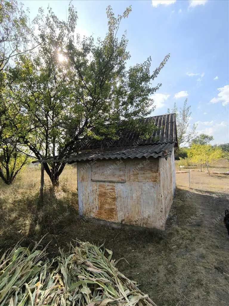 Садова ділянка за містом.