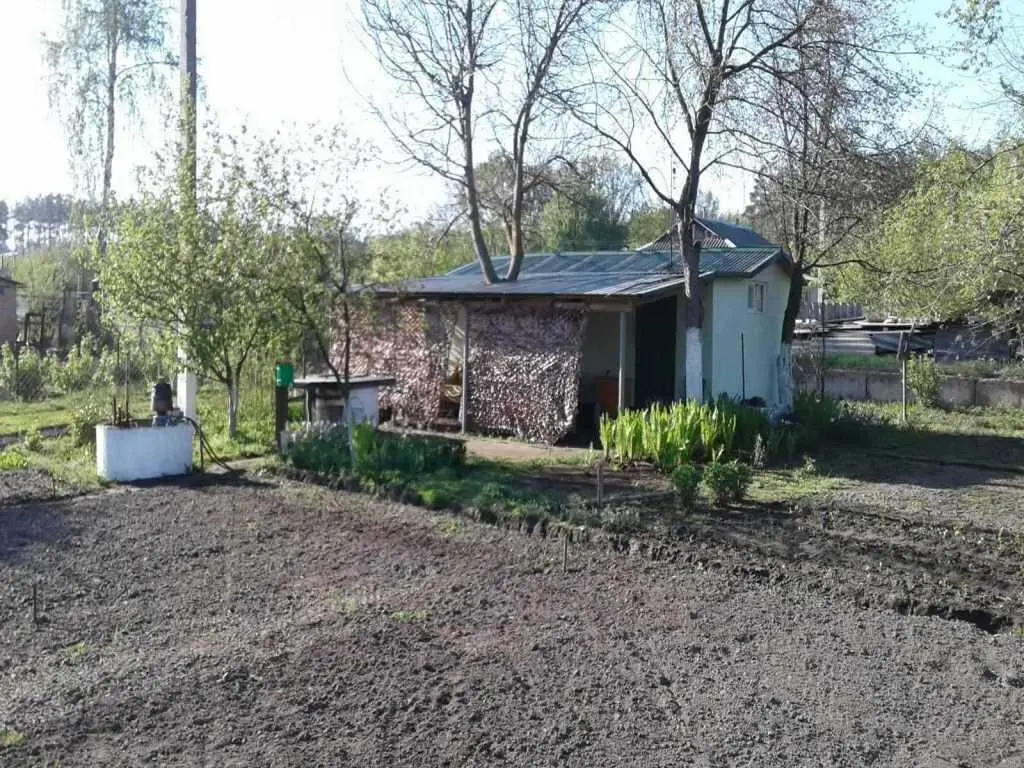 Охайна бюджетна дача біля лісу