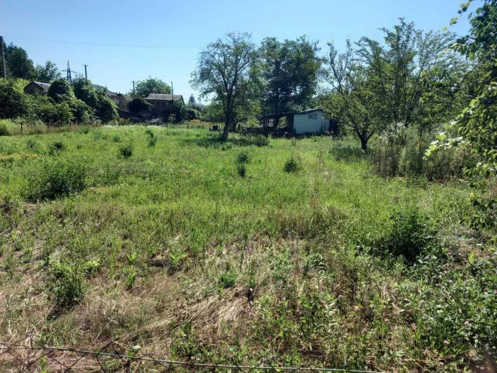 Охайна бюджетна дача біля лісу