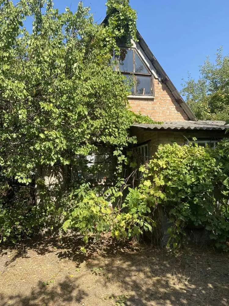 Дача біля річки в Терешках.