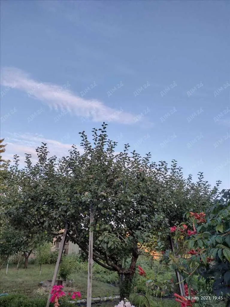 Два дачних будинки на Вороніна!