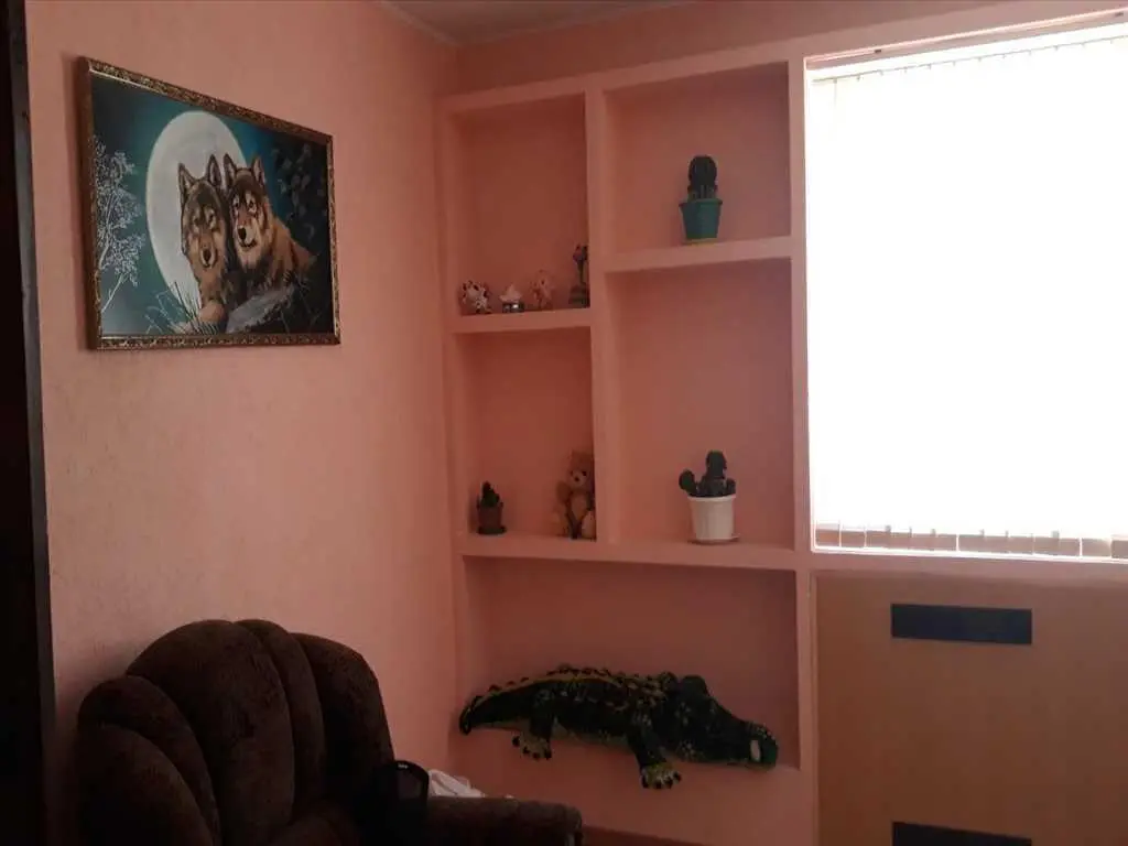 Гарний будинок в селі Руденківка Новосанжарського району