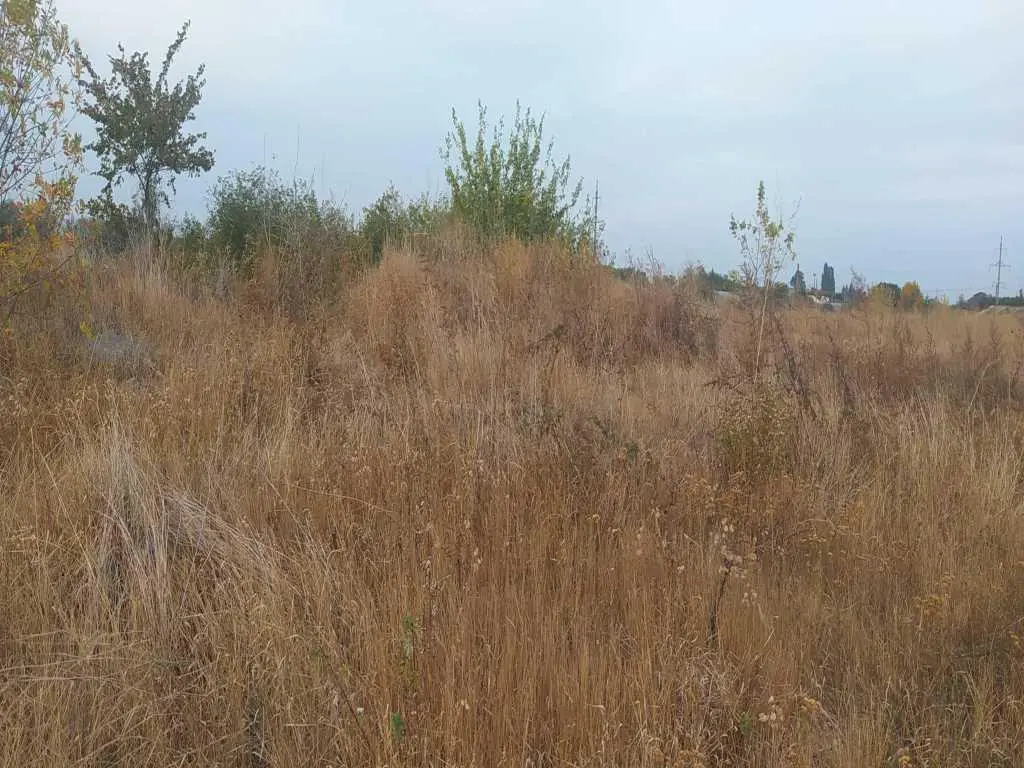 Земельна ділянка в Абазівці